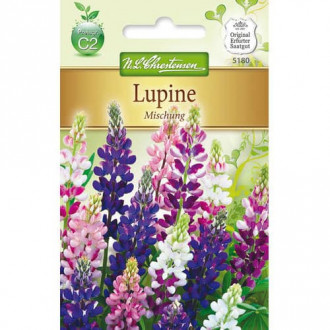 Lupin, mix multicolor imagine 3