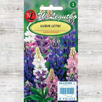 Lupin, mix multicolor Legutko imagine 7