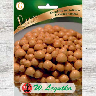 Łuskwiak nameko - grzybnia na kołkach interface.image 2