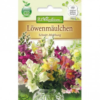 Lwia paszcza Schnitt, mix kolorow interface.image 1