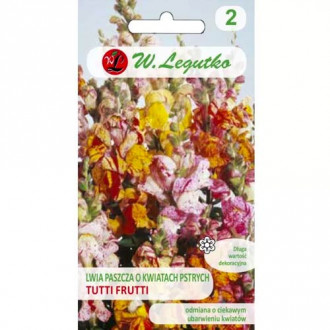 Lwia paszcza Tutti Frutti, mix kolorow interface.image 6