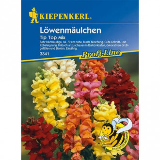 Lwia paszcza Tip Top, mix kolorow interface.image 15