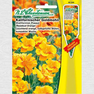 Mac californian Rosebud Orange imagine 9