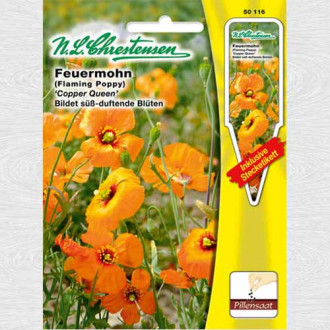 Mac Copper Queen, semințe drajate imagine 14