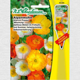 Mac de munte, mix multicolor imagine 5