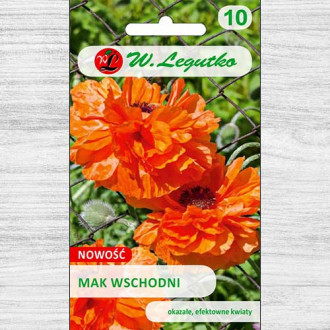 Mac oriental cu flori duble imagine 3