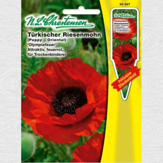 Mac oriental Olympic Fire imagine 17