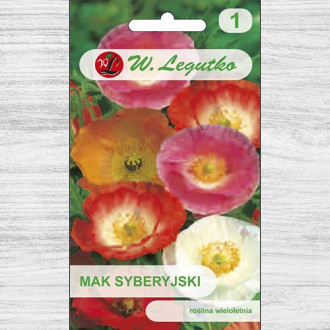 Mac siberian, mix multicolor Legutko imagine 10