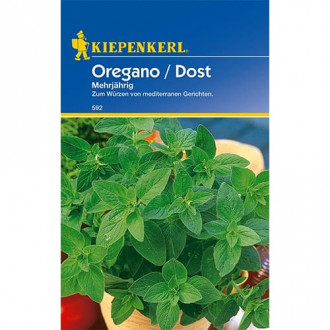 Oregano peren imagine 13