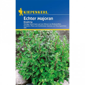 Majeranek jednoroczny interface.image 4