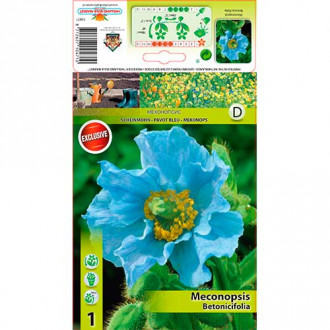 Мак Хималайски Blue изображение 18