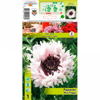 Mak wschodni Miss Piggy interface.image 11