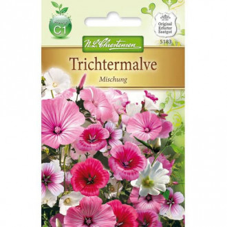 Malope, mix multicolor imagine 11