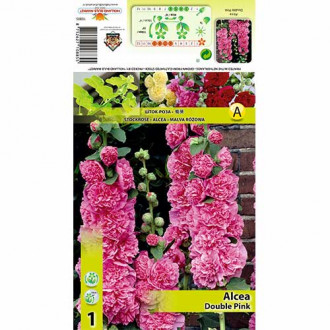 Malwa Double Pink interface.image 7