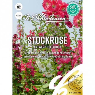 Malwa Antwerp Hollyhock, mix kolorow interface.image 10