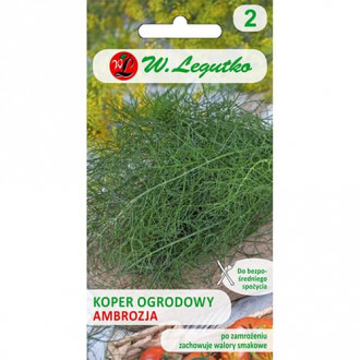 Mărar Ambrozja imagine 8