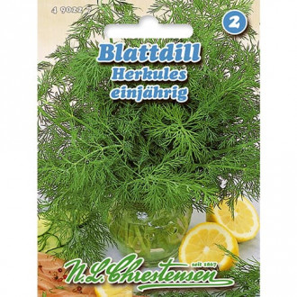 Mărar Herkules imagine 3