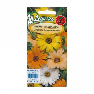 Margaretă africană Summertime Mix imagine 6