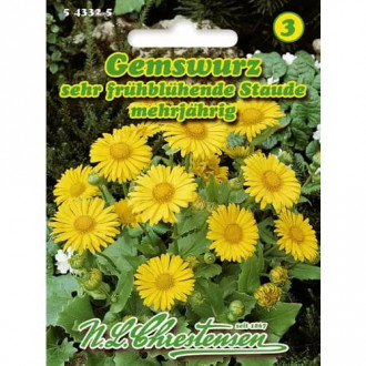 Margarete orientale perene imagine 11