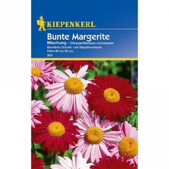 Złocień właściwy Margarite, mix kolorow interface.image 6
