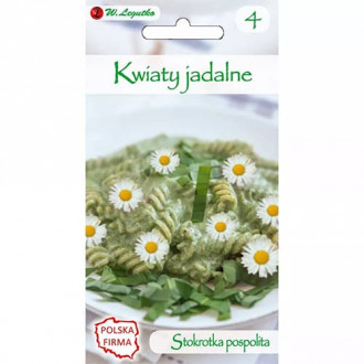 Маргаритка обикновена - ядливи цветове изображение 1