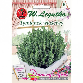 Мащерка Słoneczko изображение 4