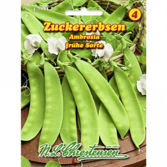 Mazăre Ambrosia imagine 6