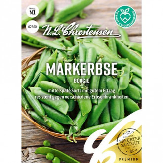 Mazăre Boogie imagine 11