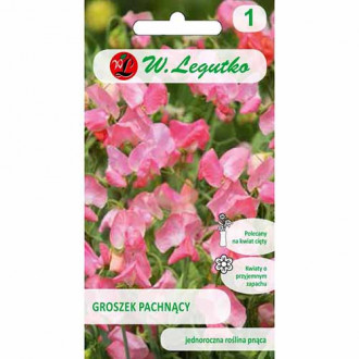 Lathyrus odoratus (Sângele voinicului) roz imagine 2