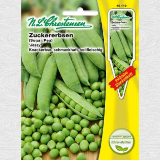 Mazăre Jessy imagine 1