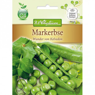 Mazăre Kelvedon Wonder imagine 1