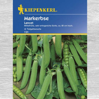 Mazăre Lancet imagine 14