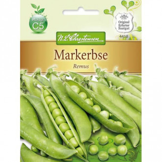 Mazăre Remus imagine 15