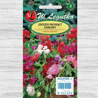 Măzăriche pitică, mix multicolor Legutko imagine 2