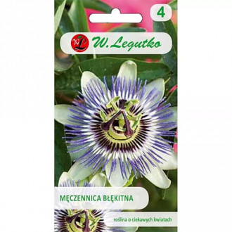 Passiflora niebieska interface.image 3