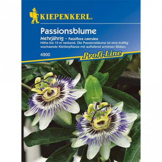 Passiflora interface.image 7