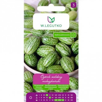 Мексиканска декоративна краставица Legutko изображение 7