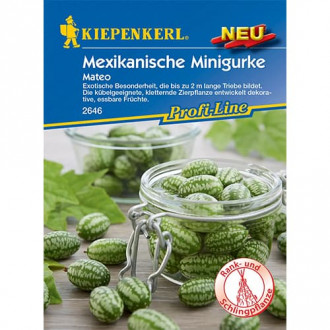 Мексиканска мини краставица Mateo изображение 1