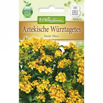 Тагетес Sweet Mace изображение 4