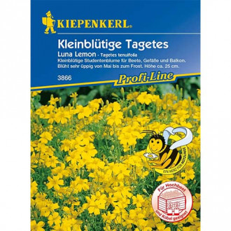 Тагетес Luna Lemon изображение 11