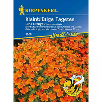 Тагетес Luna Orange изображение 12