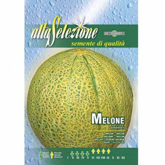 Melon Ananas Morami interface.image 7