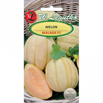 Melon Malaga F1 interface.image 8