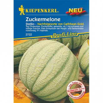 Melon Stellio interface.image 2