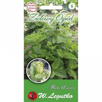 Мента бодлива изображение 5