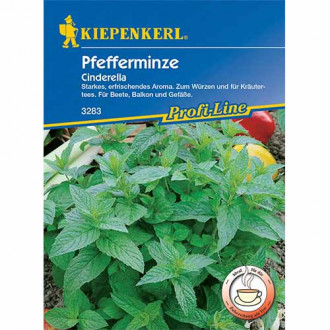 Mentă Cinderella imagine 12