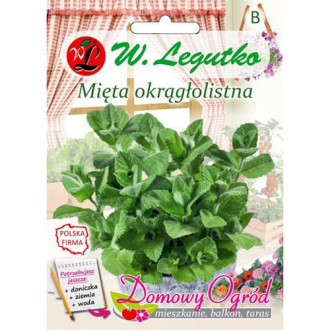 Mentă rotundă imagine 3