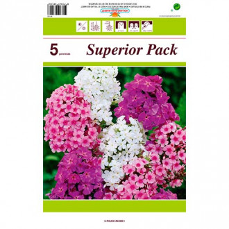 Метличен флокс Mixed изображение 3