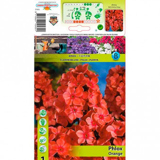 Метличен флокс Orange изображение 2