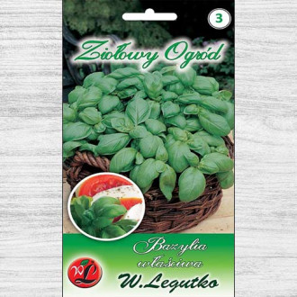 Bazylia właściwa Legutko interface.image 14